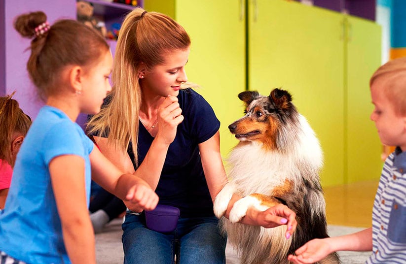 Curso de Terapia Asistida con Animales| Campus Training