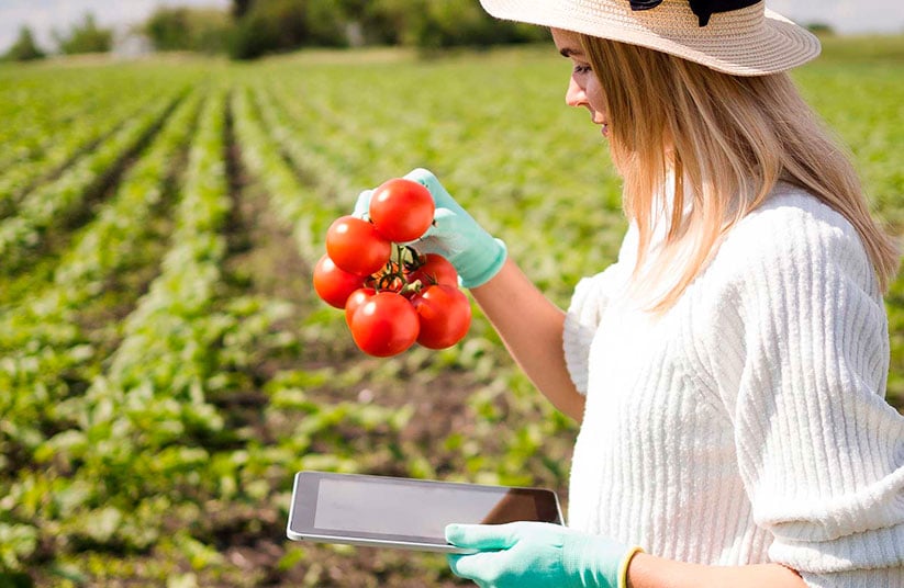 curso especialista agricultura ecologica