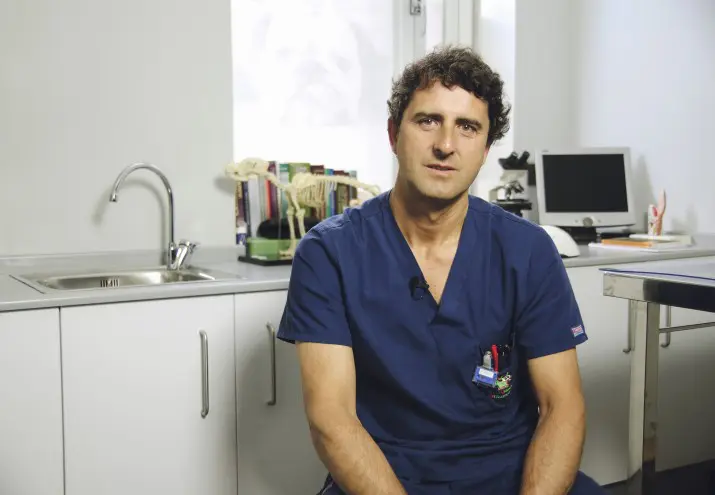 auxiliares de clínica veterinaria