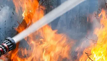 Frases de bomberos: ¿conoces estas citas?