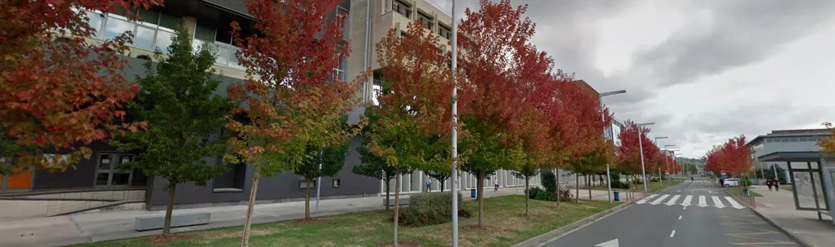 Oferta Empleo Público 2019 2020 Universidad País Vasco|OEP Universidad País Vasco 2019 2020