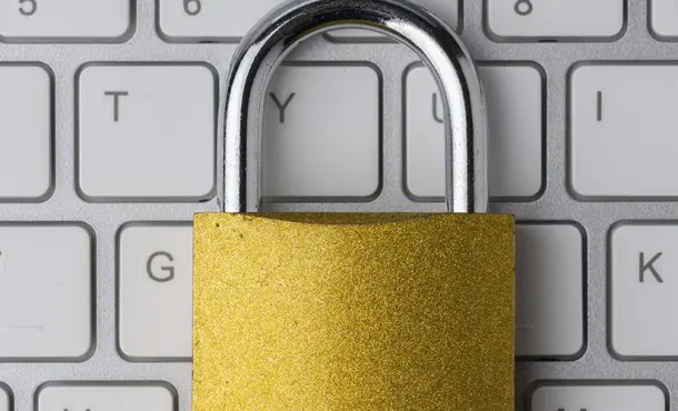 Ramas de la ciberseguridad: divisiones de una profesión con futuro