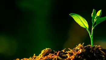 Cómo estudiar agricultura ecológica en Mallorca