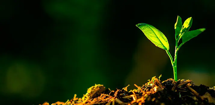 agricultura ecológica en Mallorca|estudiar agricultura ecológica en Mallorca