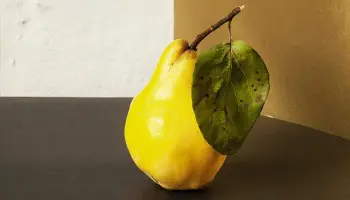 Ciclo superior en dietética: toda la información