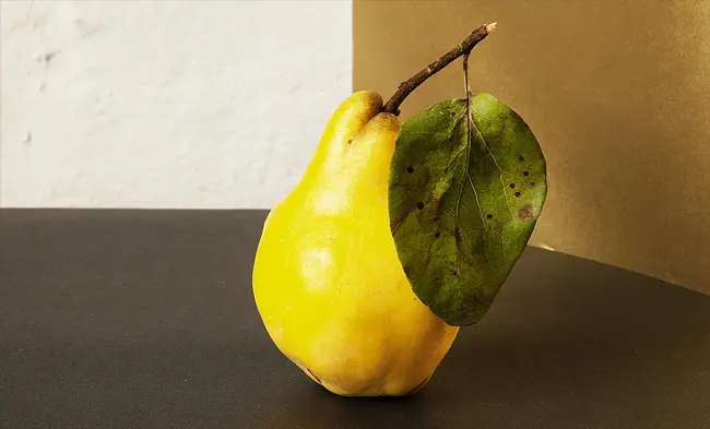 ciclo superior en dietetica, Ciclo superior en dietética: toda la información