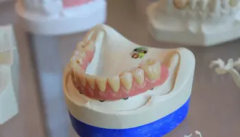 Ciclo superior Higiene bucodental: todo sobre esta FP