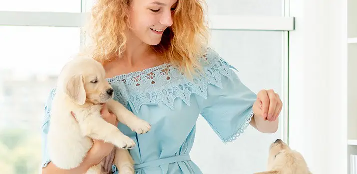 Cómo educar a un cachorro – Adiestramiento Canino|Cómo educar a un cachorro – Adiestramiento Canino