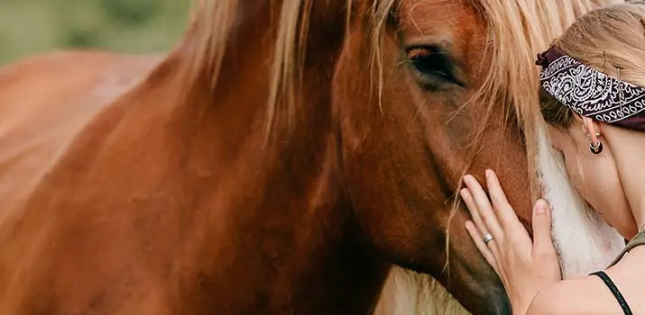 estudiar terapia asistida con animales en madrid|estudiar terapia asistida con animales en madrid