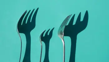 ¿Dónde estudiar nutrición y dietética? Toda tu oferta formativa