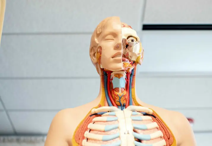 estudiar visitador medico, Estudiar visitador médico: ¿dónde estudiar?
