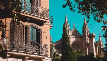 FP a distancia en Mallorca: tu mejor opción