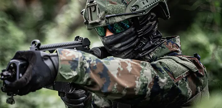 fuerzas y cuerpos de seguridad|