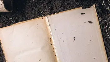 Los mejores libros sobre agricultura ecológica, ¡conócelos!