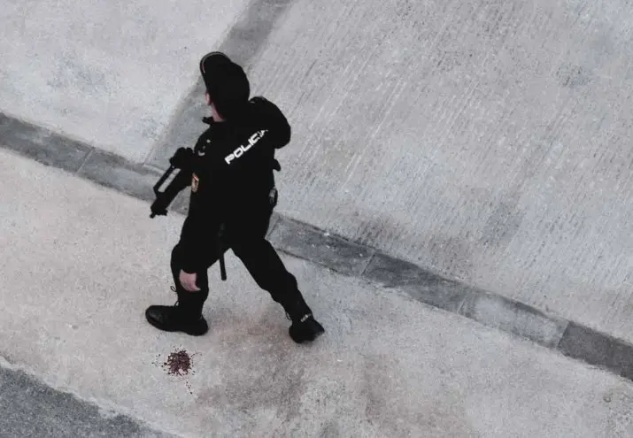 qué hay que estudiar para ser policía, Qué hay que estudiar para ser policía