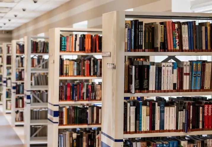 requisitos auxiliar de bibliotecas