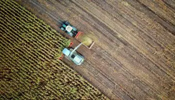 Requisitos para ser joven agricultor