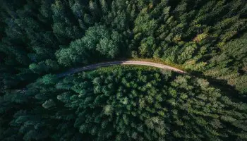 Temario agente forestal Madrid: descrubre los temas