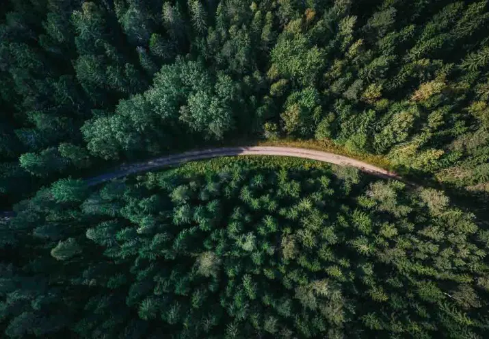 temario agente forestal madrid, Temario agente forestal Madrid: descrubre los temas