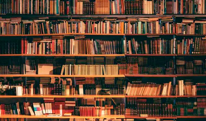 auxiliar de biblioteca donostia kultura oferta de empleo
