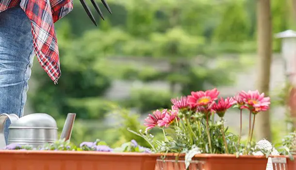 Perfil profesional de un jardinero: habilidades y competencias