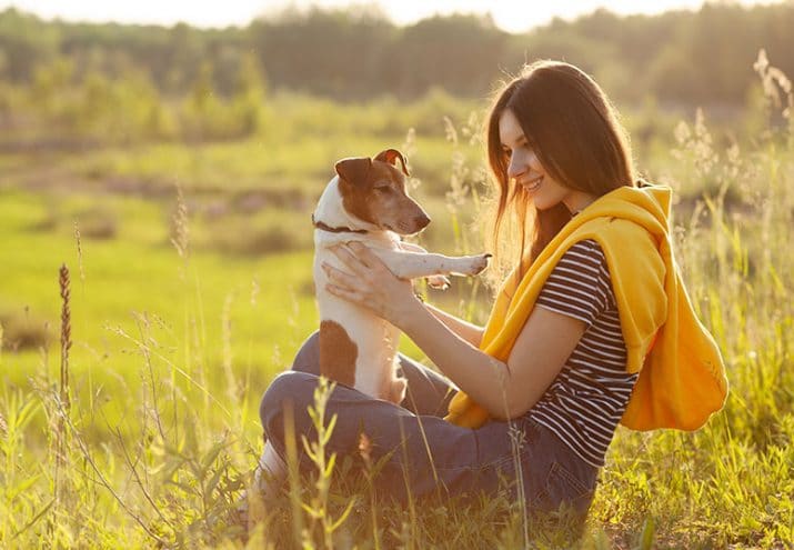 terapia asistida animales