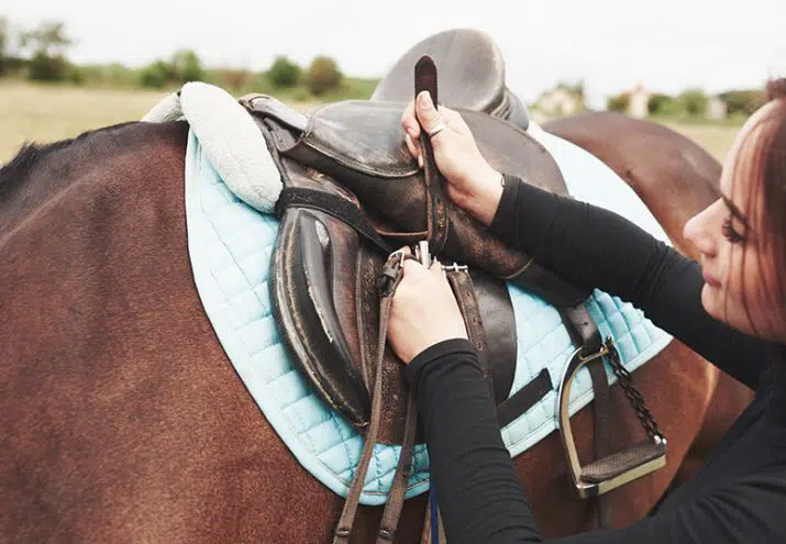 estudiar terapia animales
