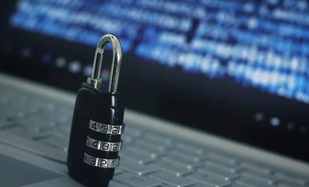 Empleo en ciberseguridad: ¿Qué salidas laborales existen?