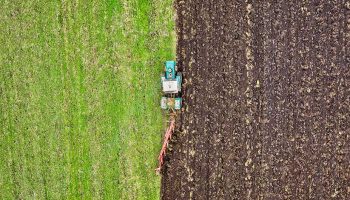 Sello agricultura ecológica: qué es y cómo se consigue