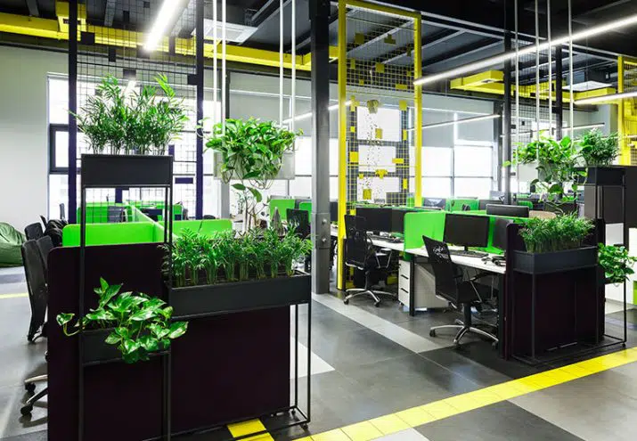 funciones profesor fol