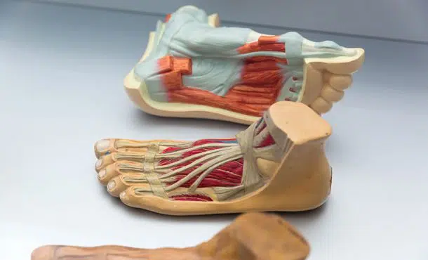 El convenio colectivo para los Técnicos en Anatomía Patológica
