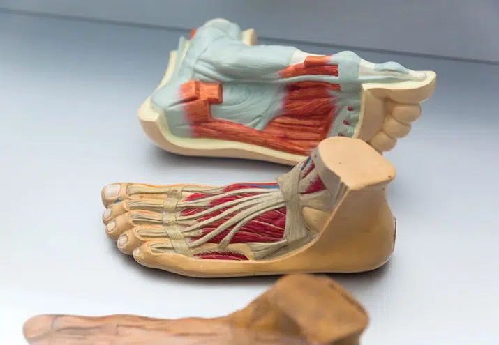 anatomia patologica convenio colectivo