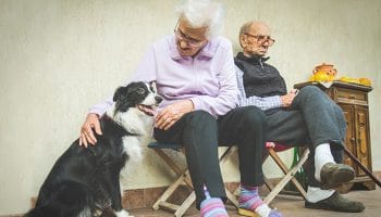 Terapia con animales para el Alzheimer