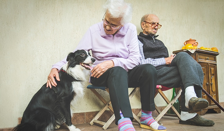 terapia-animales-alzheimer