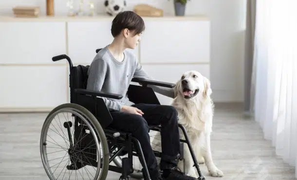 Terapia asistida con animales: sueldo