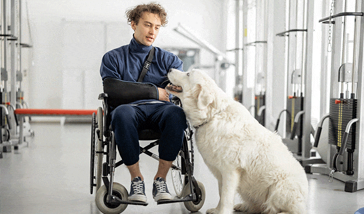 perros-en-los-hospitales