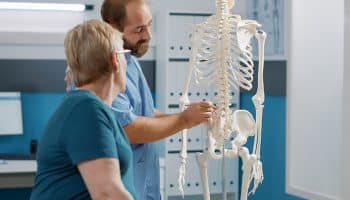 ¿Cómo estudiar los huesos del cuerpo humano?