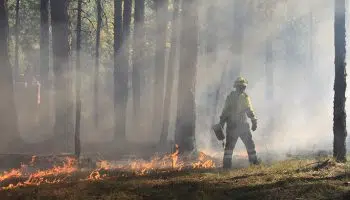 ¿Cuál es el sueldo de un bombero forestal?