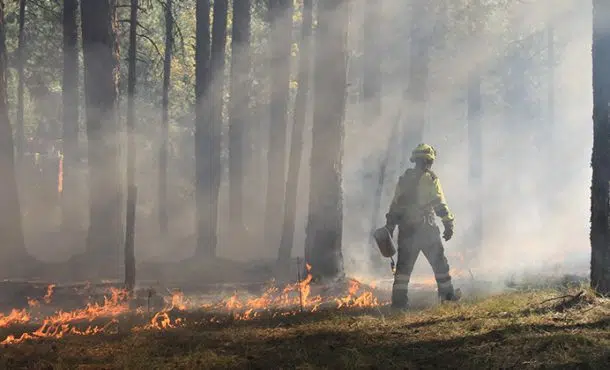 ¿Cuál es el sueldo de un bombero forestal?