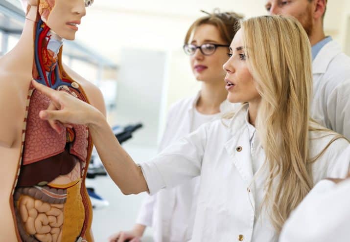 Mecanismos de regulación del cuerpo humano: todo lo que debes saber