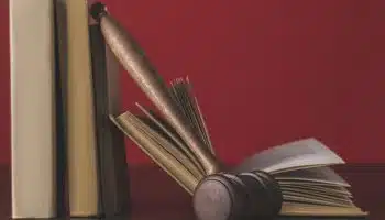 ¿Cuáles son las ramas del derecho?