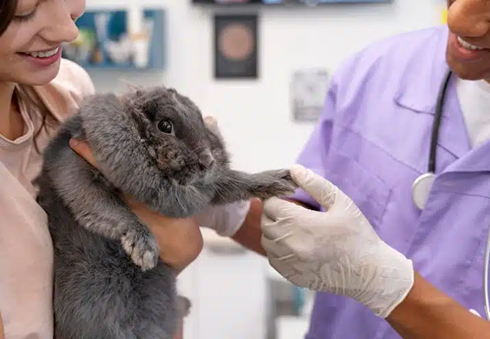 estudiar-veterinaria-animales-exoticos