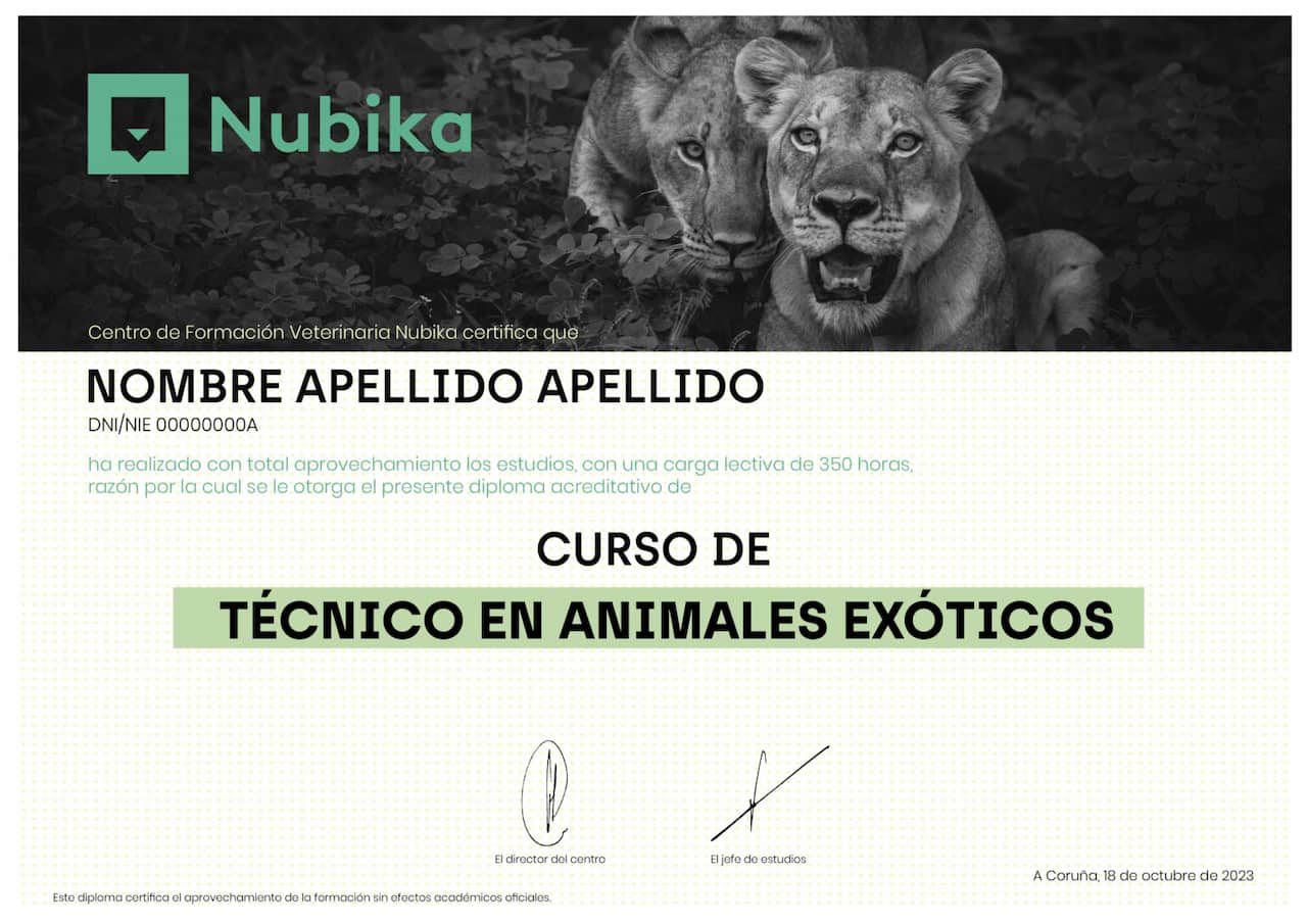 Diploma de técnico en animales exóticos