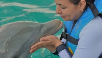 Curso de Mamíferos Marinos