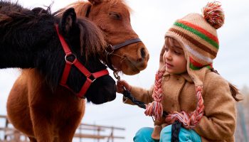Tipos de terapia asistida con animales: ¡descúbrelos!