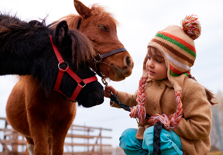 terapia-cona-nimales-tipos