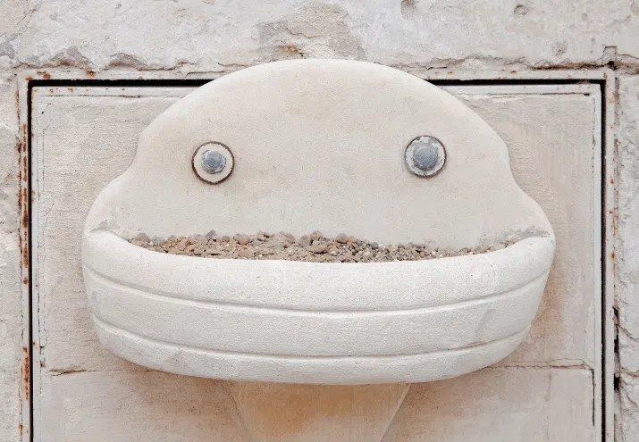 que-es-pareidolia