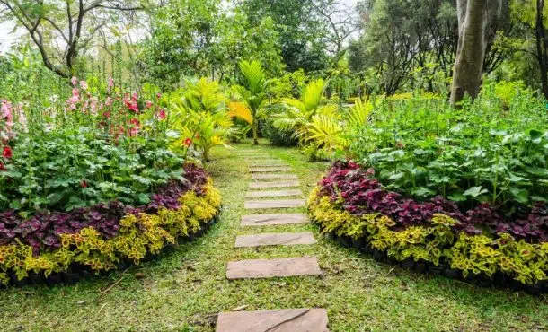 ¿Qué tipos de jardines existen?