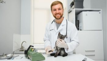 ¿Cómo abrir una clínica veterinaria?