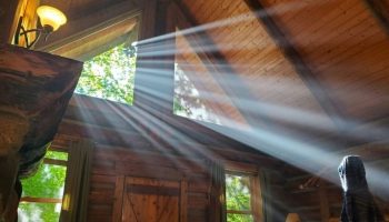 Importancia de la luz solar en el hogar